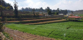 Ooty Farm House